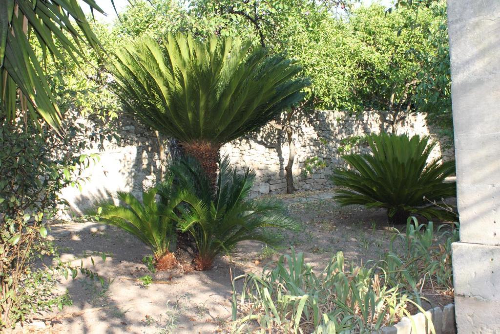 Dimora Storica "Casa Sicuro" Bed & Breakfast Martano Dış mekan fotoğraf