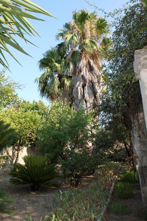 Dimora Storica "Casa Sicuro" Bed & Breakfast Martano Dış mekan fotoğraf